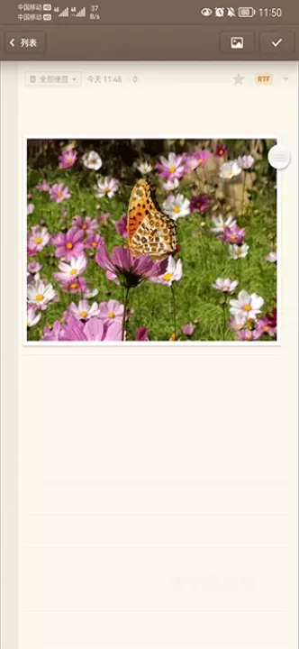 锤子便签_https://www.cddzfzs.com_系统工具_第4张