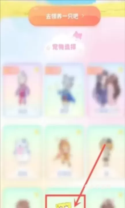 哈屏宠物_https://www.cddzfzs.com_手机美化_第11张