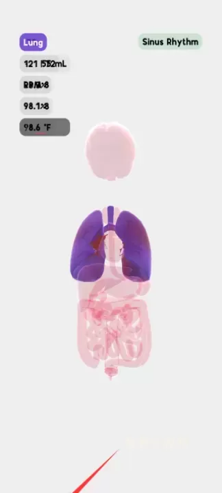 life生命模拟器_https://www.cddzfzs.com_休闲益智_第1张