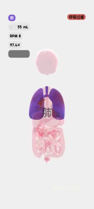 life生命模拟器_https://www.cddzfzs.com_休闲益智_第5张