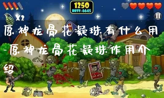原神龙骨花凝珠有什么用-原神龙骨花凝珠作用介绍_https://www.cddzfzs.com_游戏攻略_第1张